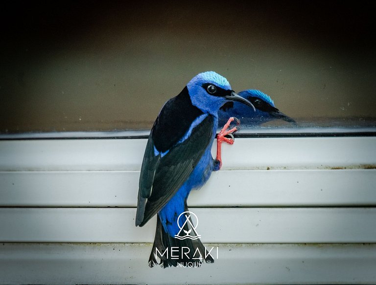 Wonderful Room @Nuqui + Beach & breathtaking views
