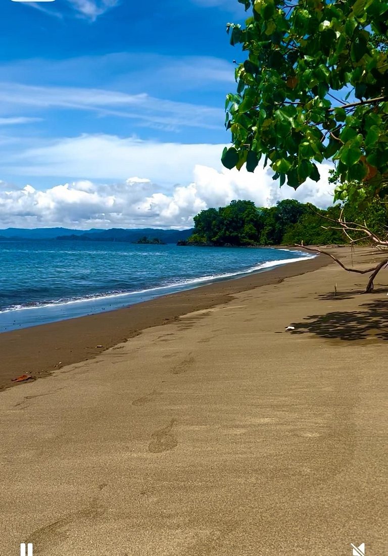 Magica Cabaña @Nuqui with beach access